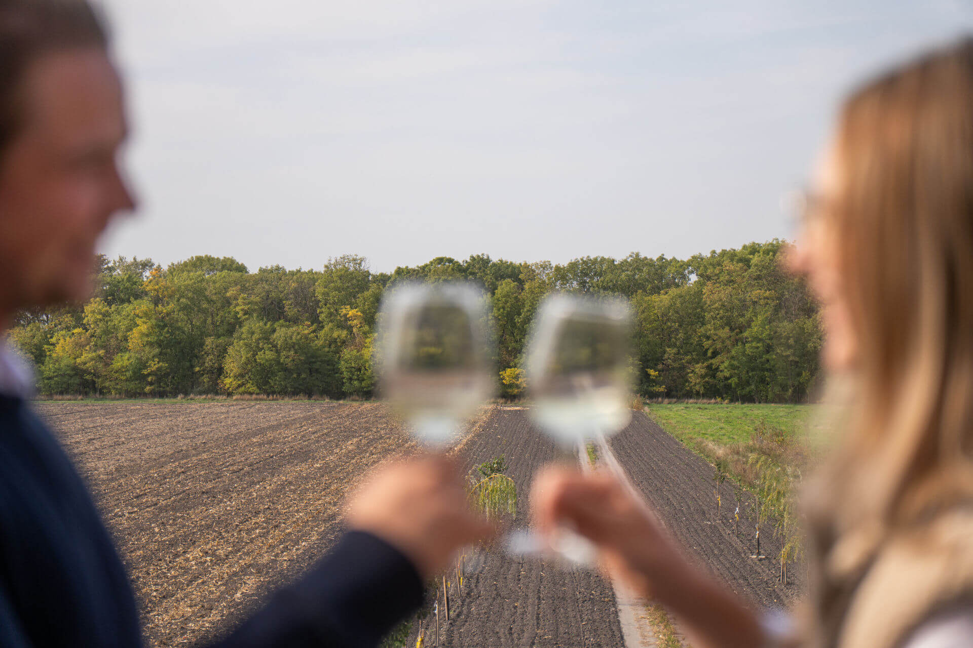 Anstoßen mit Weißwein vor Feldern und Wald im Seewinkel